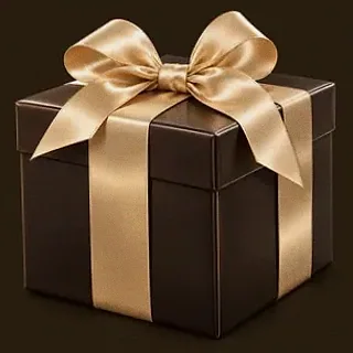 Wrapped gift box — Spinfever