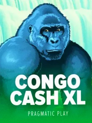 Congo Cash XL at Spinfever